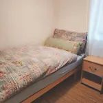 Pfeiren דירה לויקרבאד